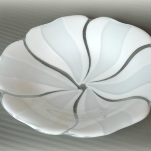 Witte Bloei