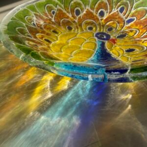 Peacock Splendor